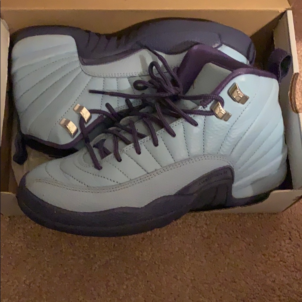 Purple and blue Jordan 12s